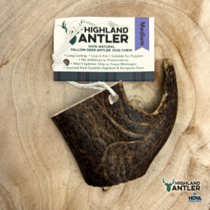 Fallow Antler for Puppies