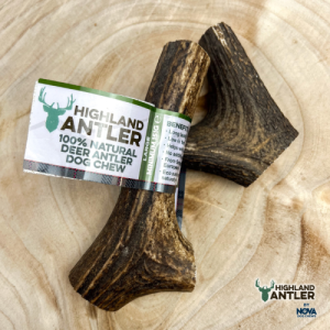 Antler Chew for Dogs