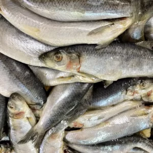 DOUGIE'S WHOLE HERRING 1kg