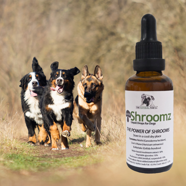 The Natural Paw Co. Shroomz