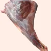 muntjac hind leg