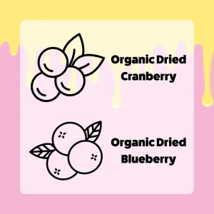 Axels Elixir Berry Boost bone broth