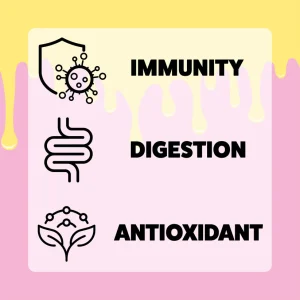 Axels Elixir Berry Boost bone broth