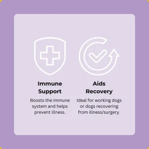 Festive Turkey Bone Broth