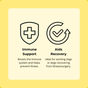 Immune Support & Recovery