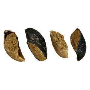 Peanut-butter-filled-hooves