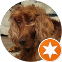 Susan Kourea profile picture