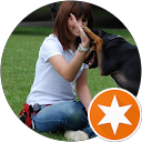Surrey and South London Dog Training and Behaviour profile picture