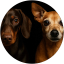 Joanne Gordon profile picture